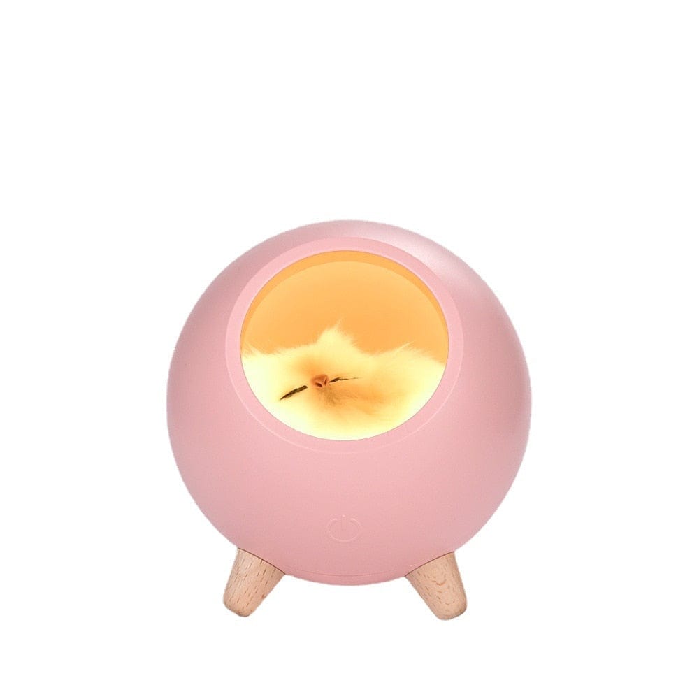 Rose Au Bonheur la Lampe