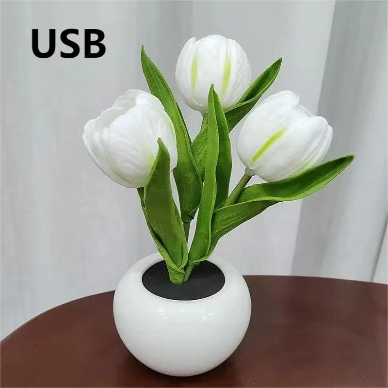 USB / White Au Bonheur la Lampe