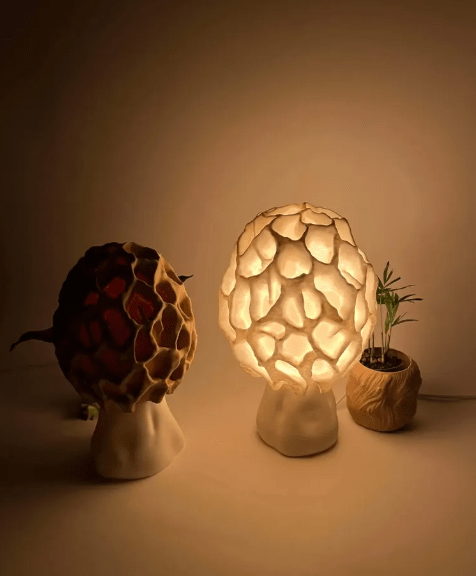 Lampe de Chevet Bois Flotté - Clavaire Grand marron Au Bonheur la Lampe