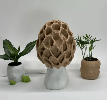 Lampe de Chevet Bois Flotté - Clavaire Au Bonheur la Lampe