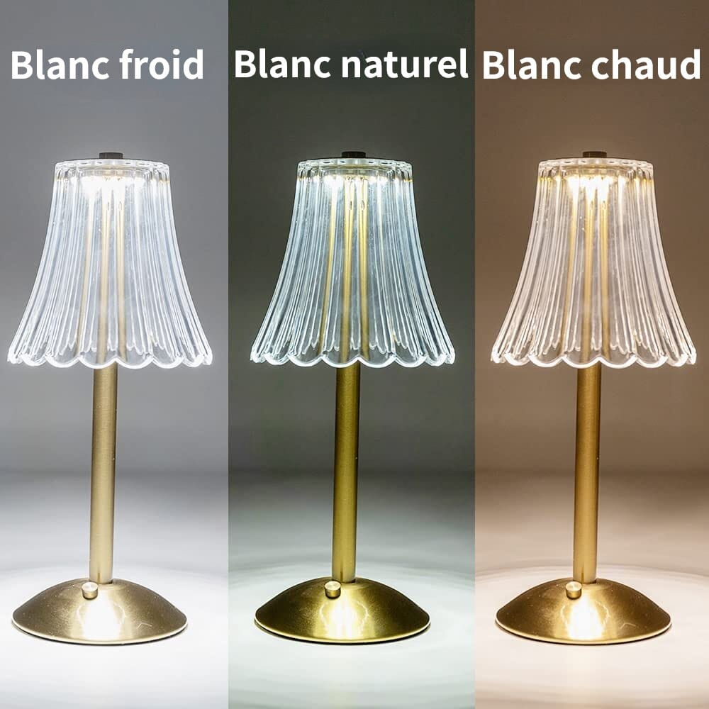 Au Bonheur la Lampe