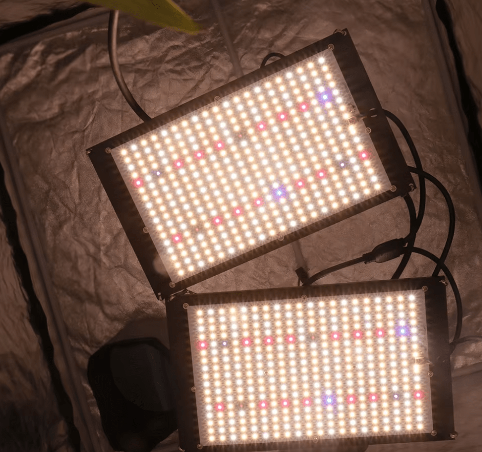 Lampe Led Horticole - Huila Au Bonheur la Lampe